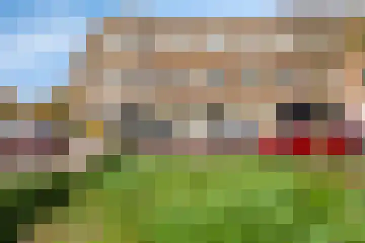 Thomsonlaan 17 F Den Haag thumbnail 4