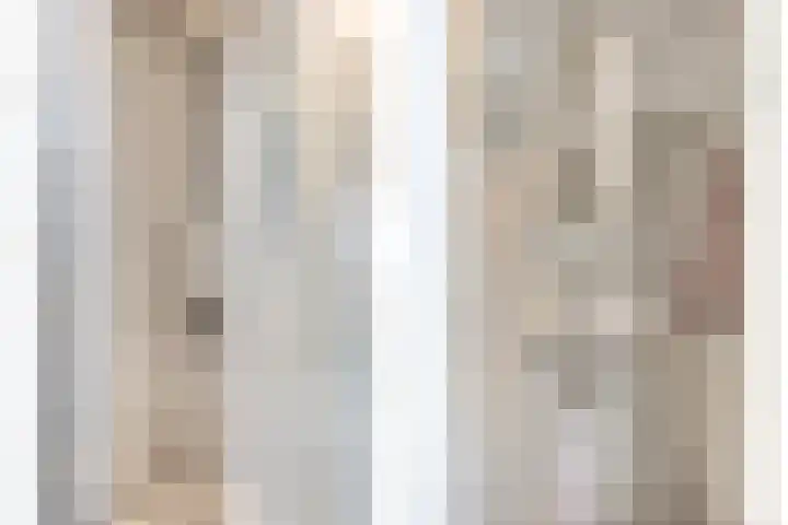 Thomsonlaan 17 F Den Haag thumbnail 9