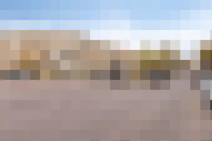 Thomsonlaan 17 G Den Haag thumbnail 19