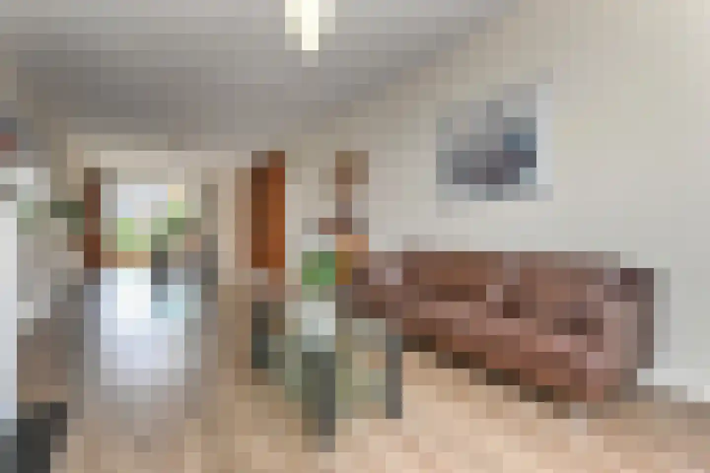Thomsonlaan 206 Den Haag thumbnail 14