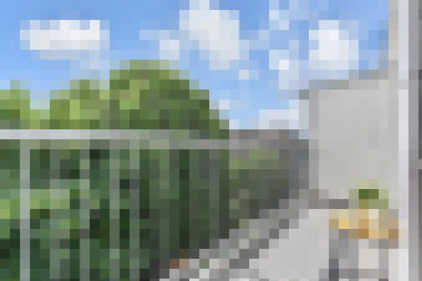 Thomsonlaan 206 Den Haag thumbnail 20