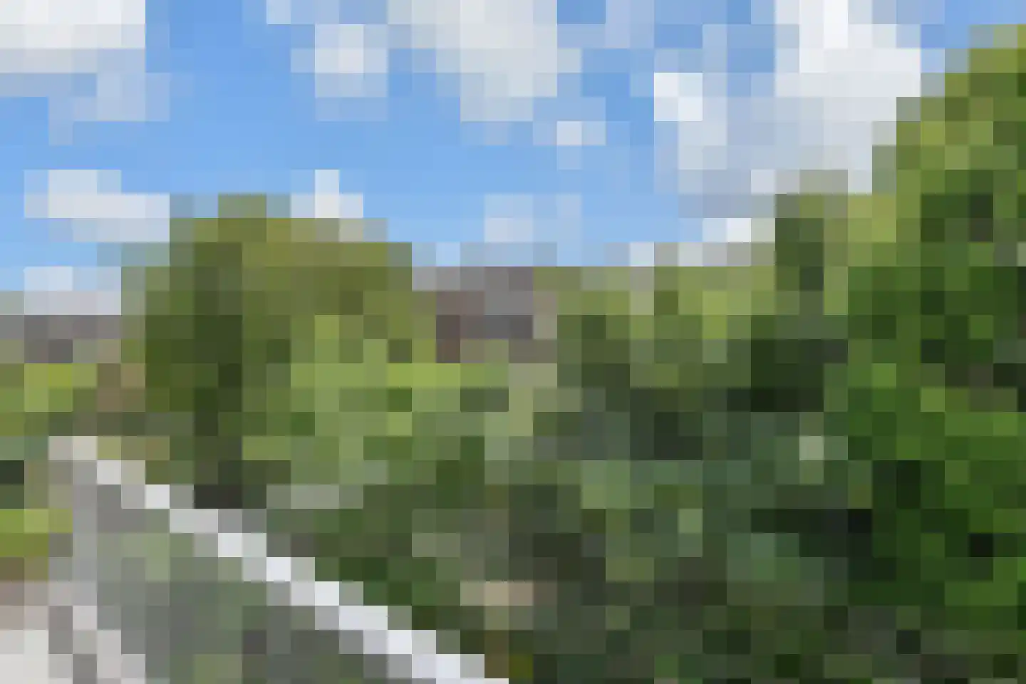 Thomsonlaan 206 Den Haag thumbnail 21