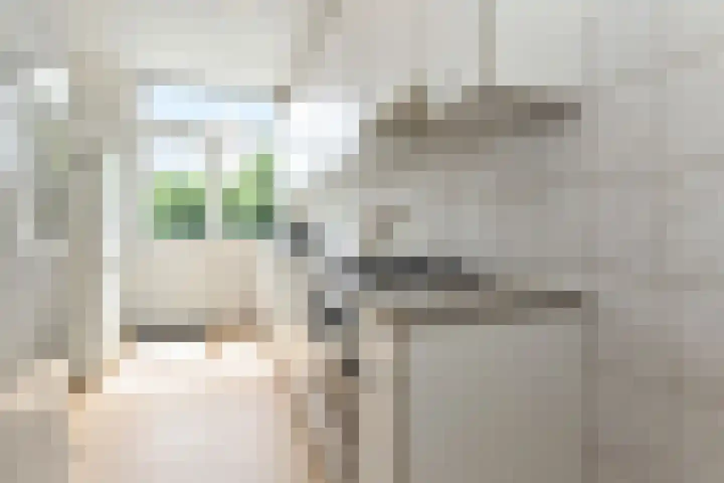 Thomsonlaan 206 Den Haag thumbnail 22