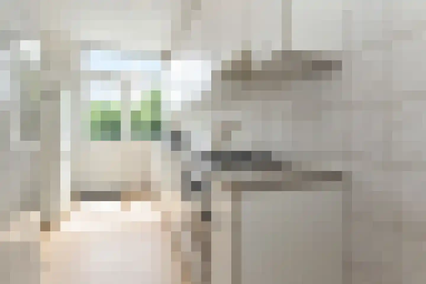 Thomsonlaan 206 Den Haag thumbnail 22