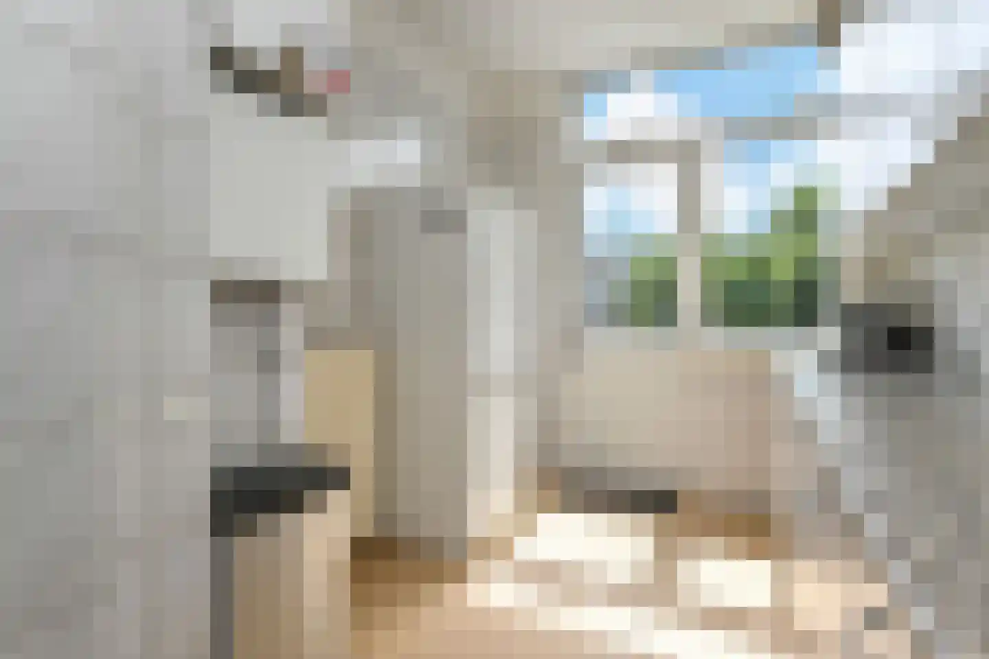 Thomsonlaan 206 Den Haag thumbnail 23