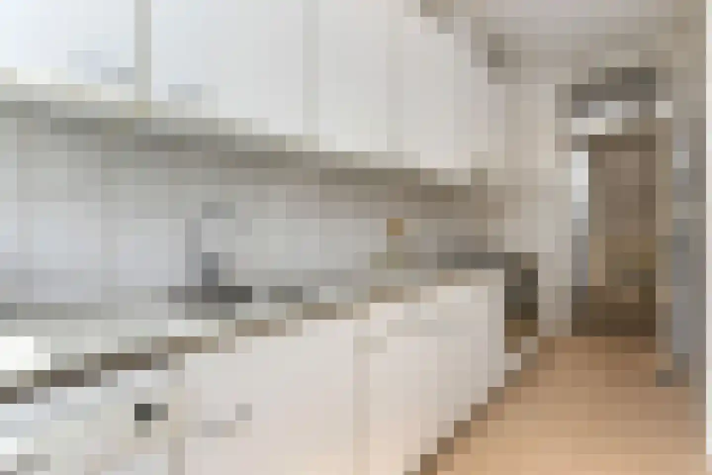 Thomsonlaan 206 Den Haag thumbnail 24