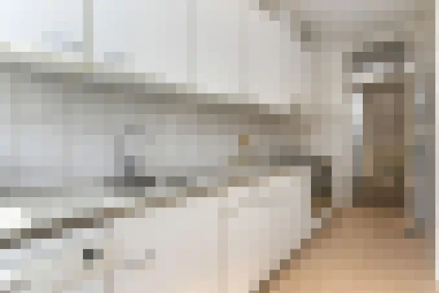 Thomsonlaan 206 Den Haag thumbnail 24