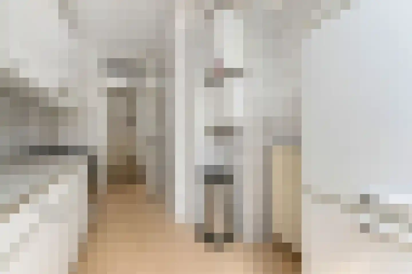 Thomsonlaan 206 Den Haag thumbnail 25