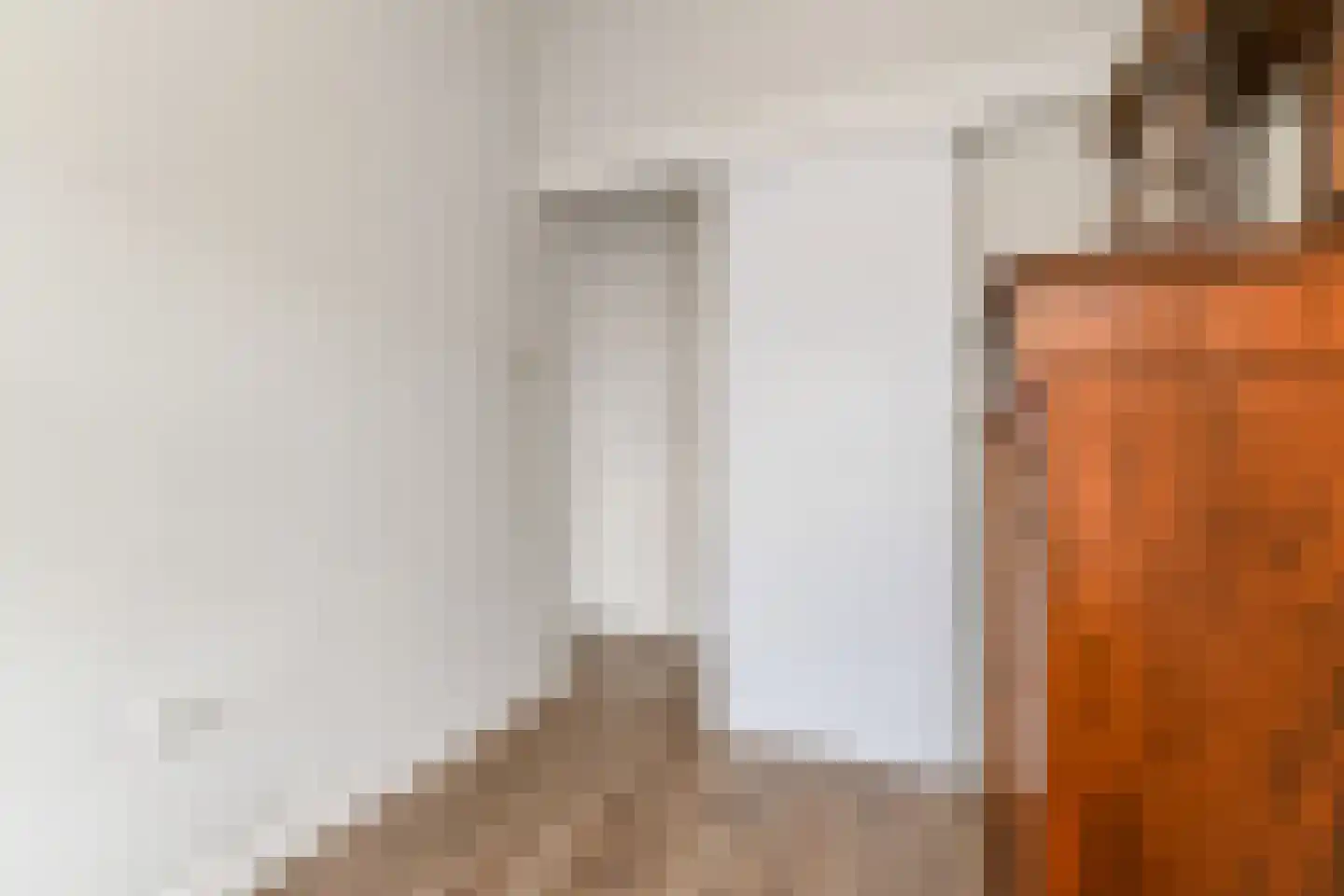 Thomsonlaan 206 Den Haag thumbnail 31