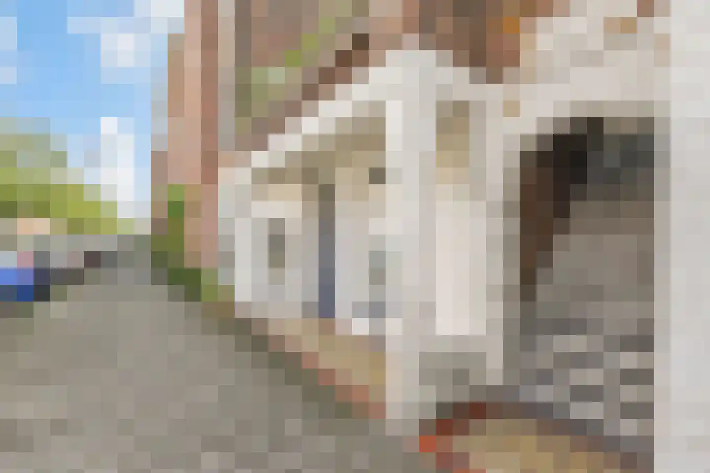 Thomsonlaan 206 Den Haag thumbnail 6