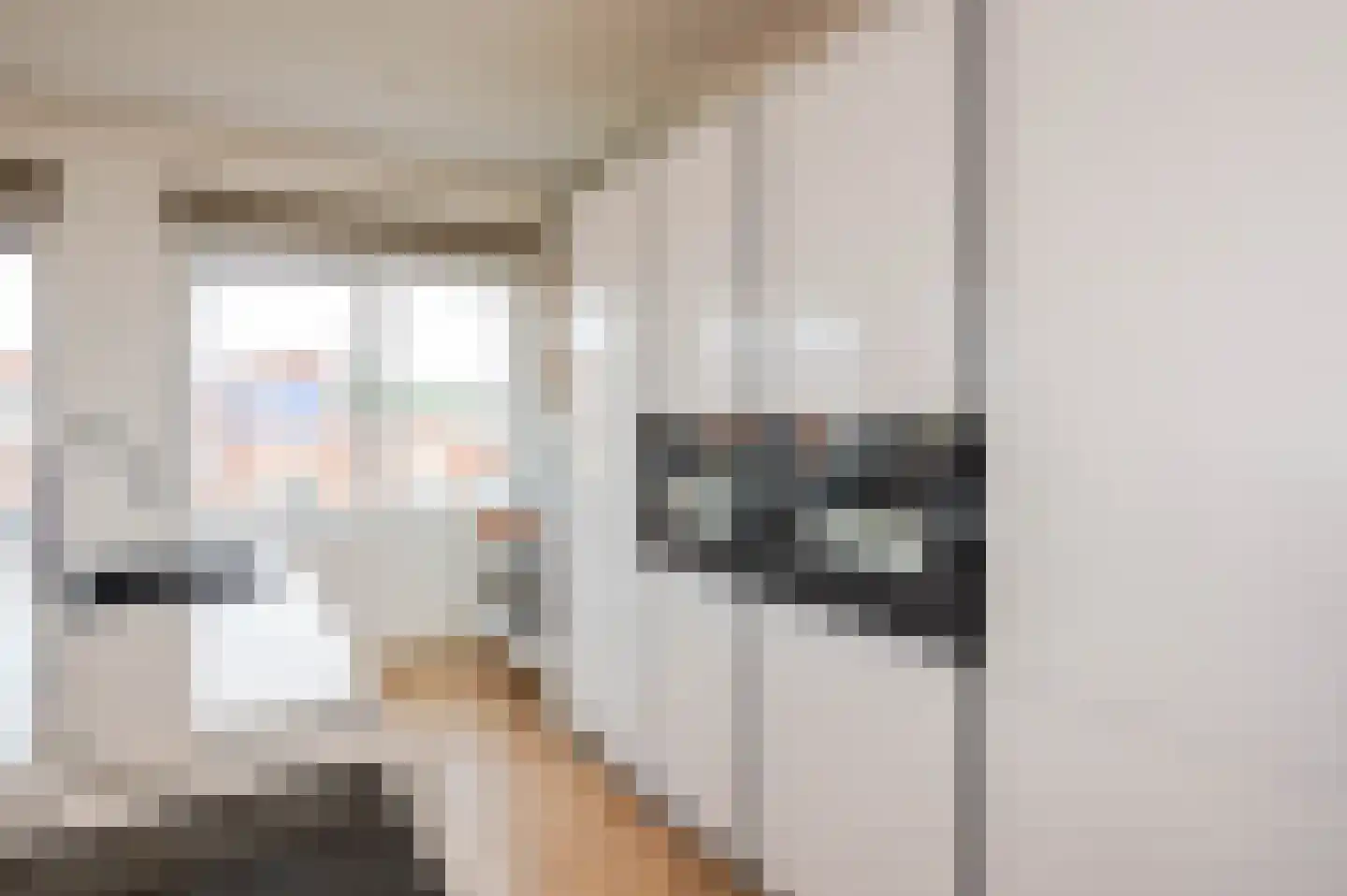 Thomsonlaan 208 Den Haag thumbnail 11
