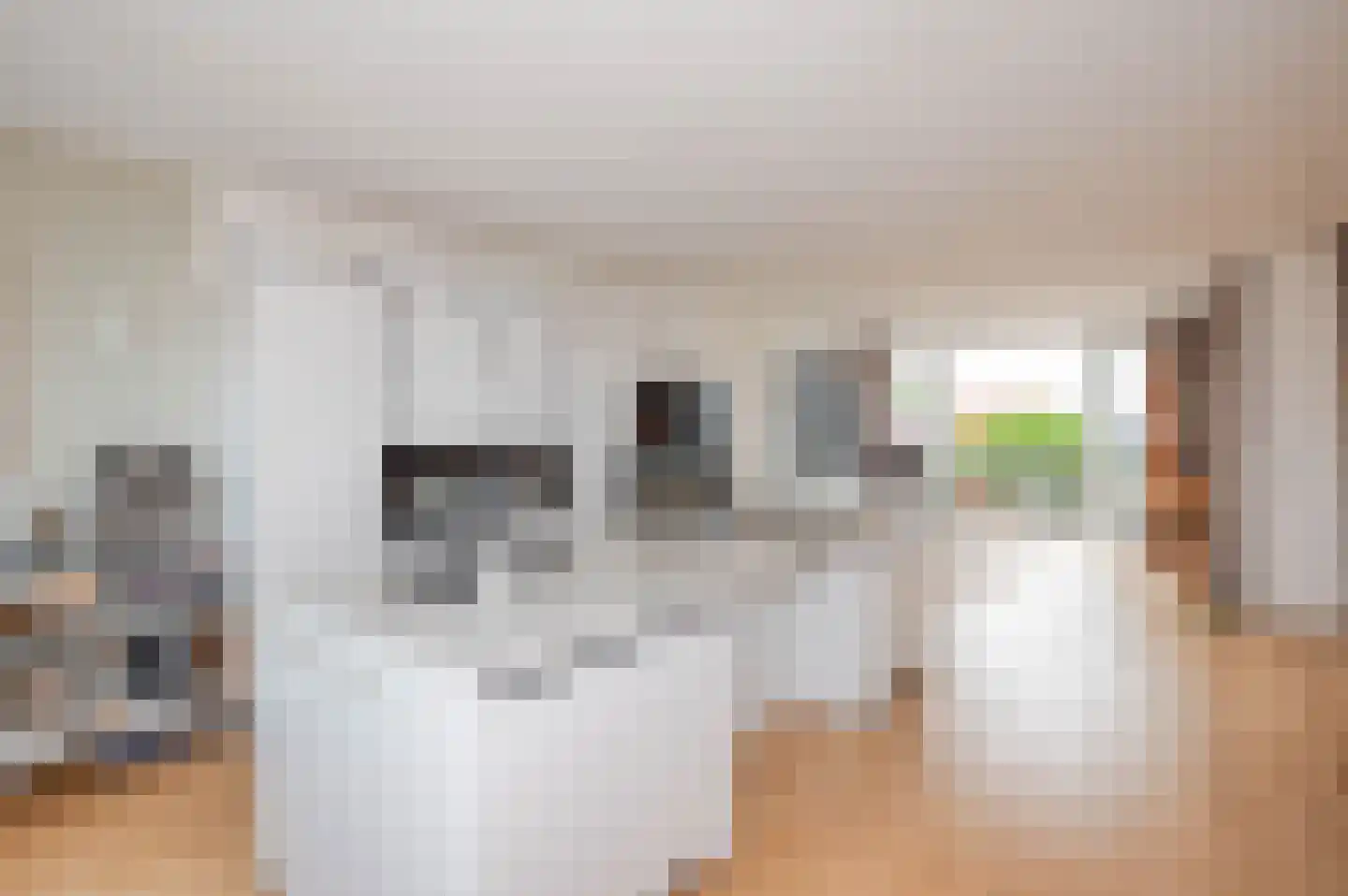 Thomsonlaan 208 Den Haag thumbnail 13