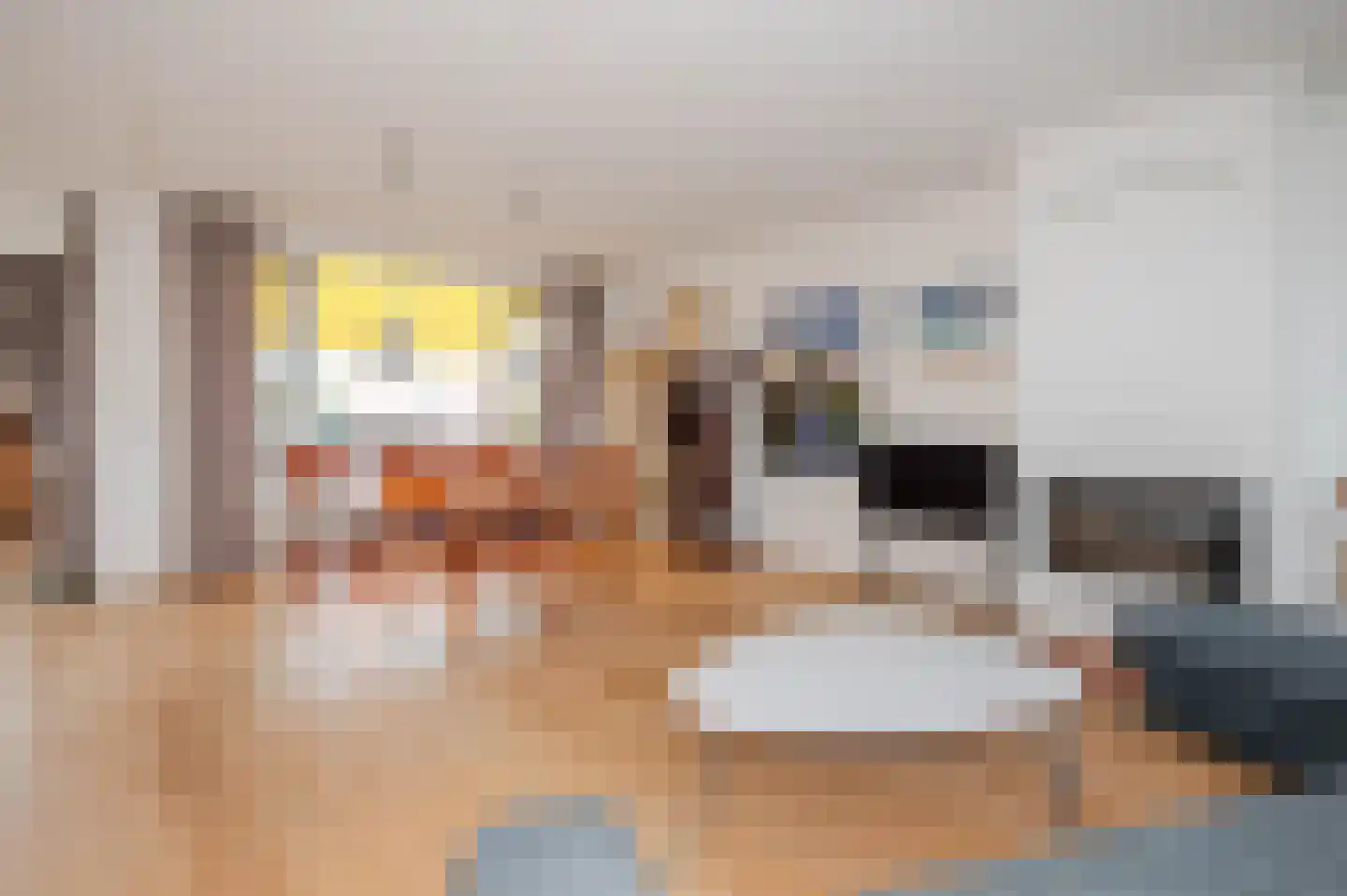 Thomsonlaan 208 Den Haag thumbnail 15