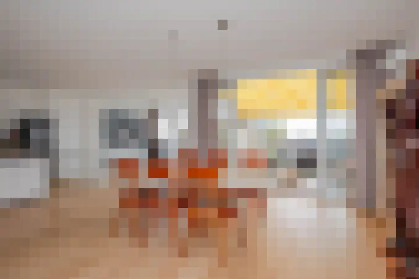 Thomsonlaan 208 Den Haag thumbnail 19