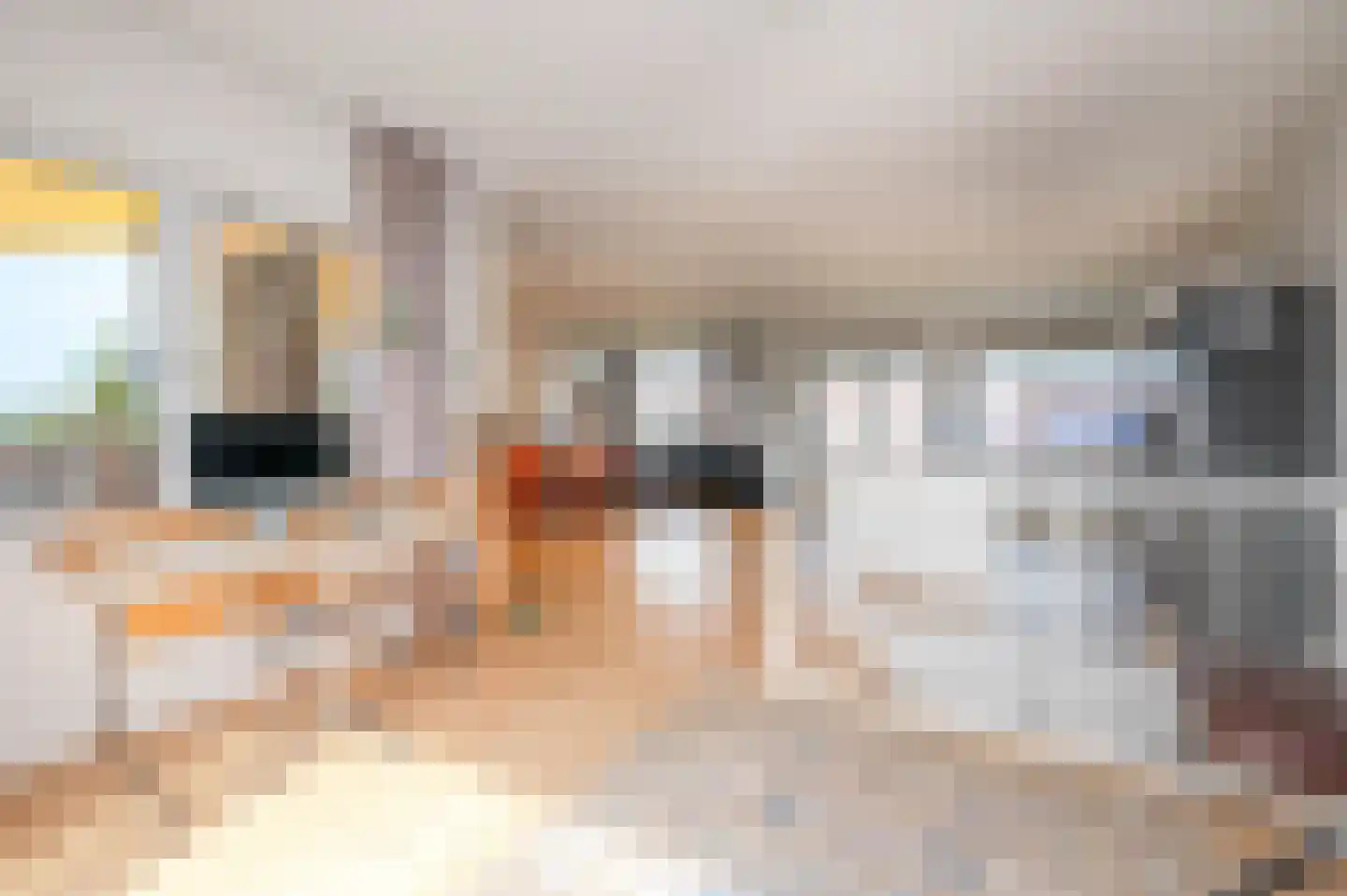 Thomsonlaan 208 Den Haag thumbnail 24
