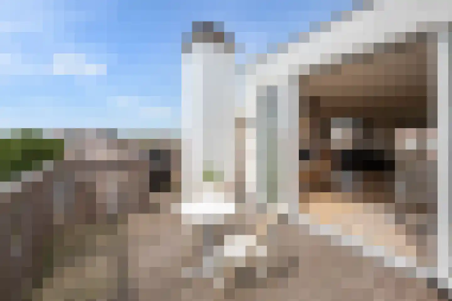 Thomsonlaan 208 Den Haag thumbnail 28