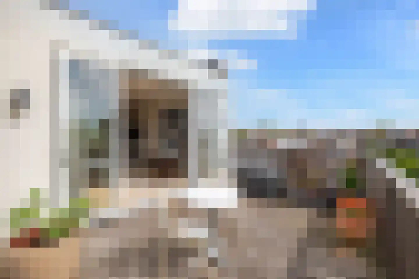 Thomsonlaan 208 Den Haag thumbnail 29