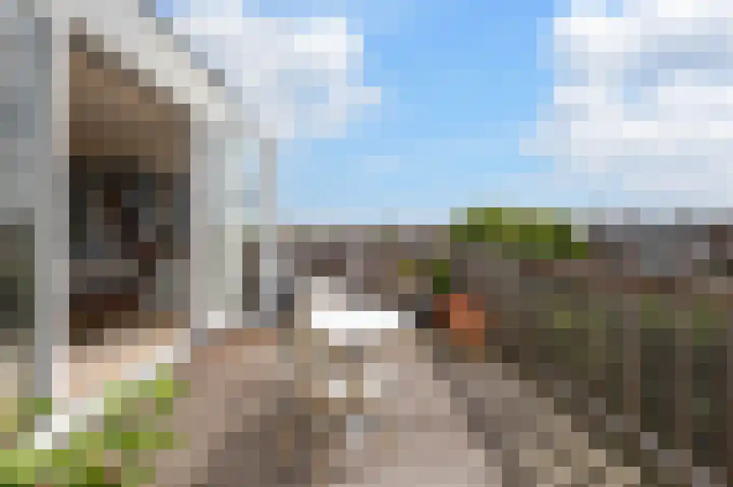 Thomsonlaan 208 Den Haag thumbnail 31