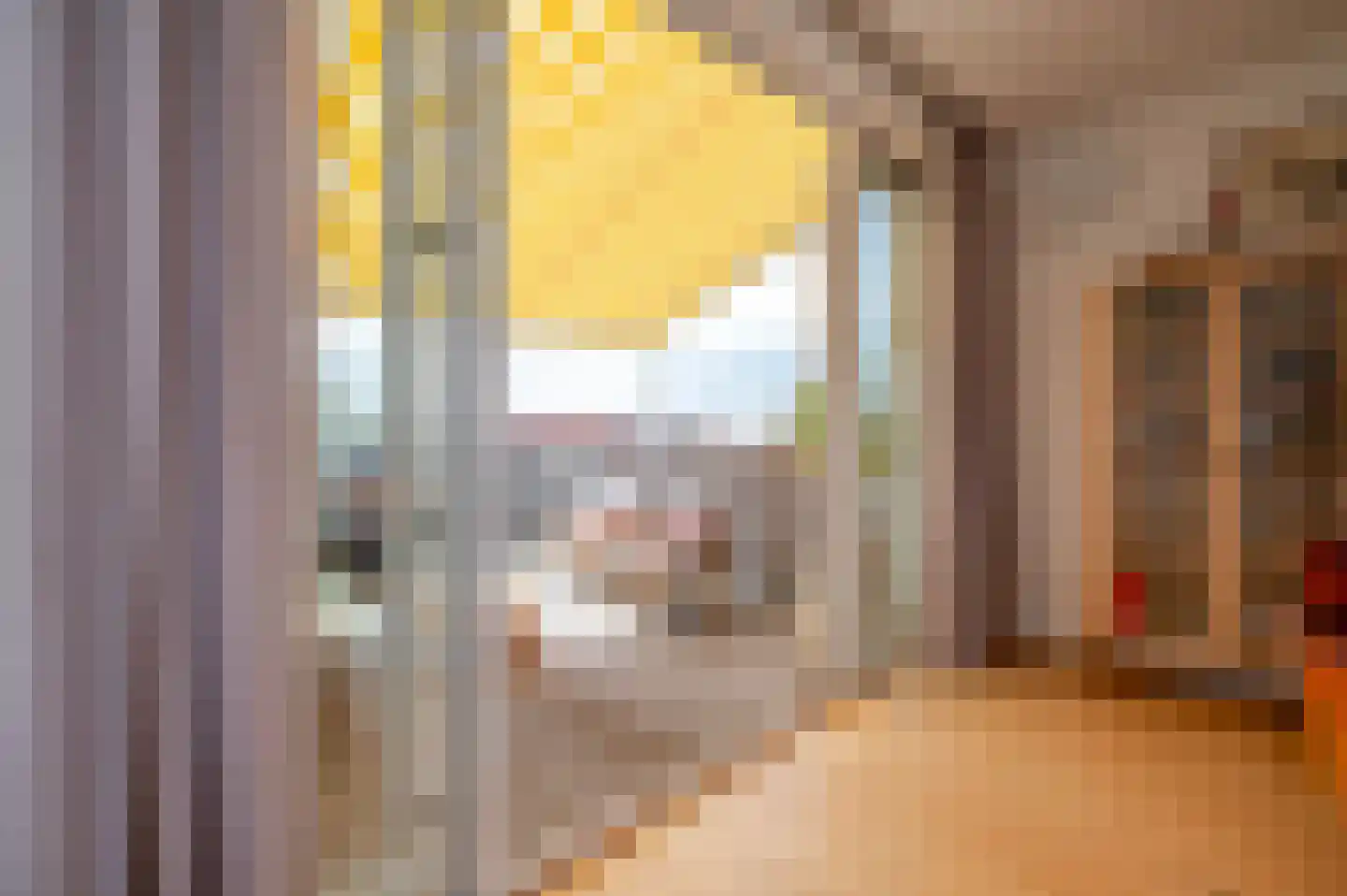 Thomsonlaan 208 Den Haag thumbnail 32