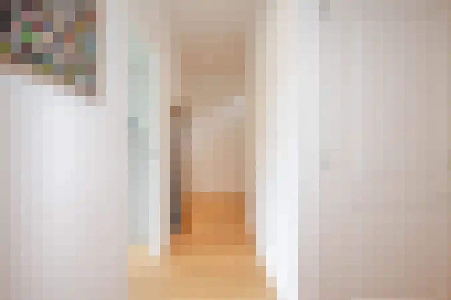 Thomsonlaan 208 Den Haag thumbnail 39