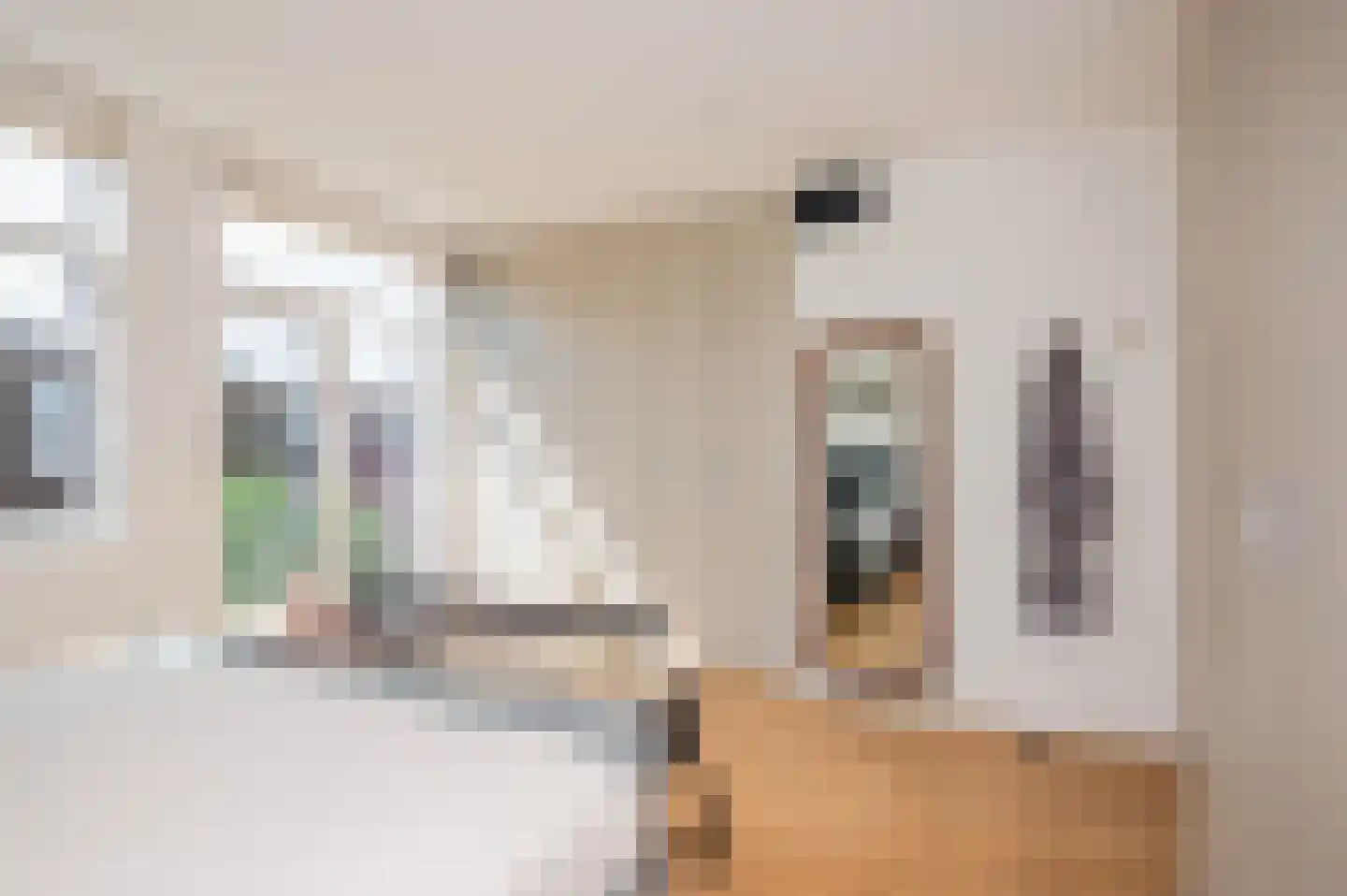 Thomsonlaan 208 Den Haag thumbnail 42