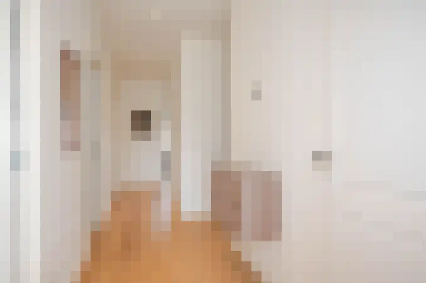 Thomsonlaan 208 Den Haag thumbnail 52