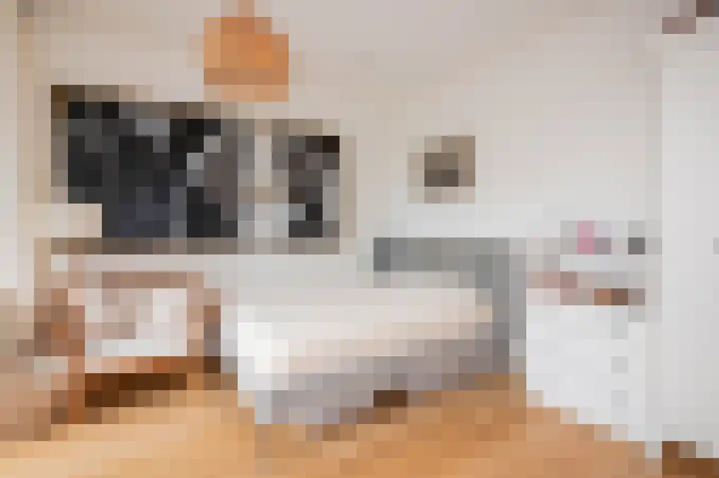 Thomsonlaan 208 Den Haag thumbnail 55