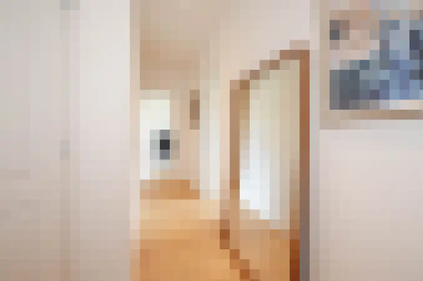 Thomsonlaan 208 Den Haag thumbnail 60