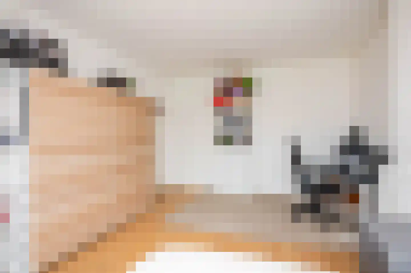Thomsonlaan 208 Den Haag thumbnail 64