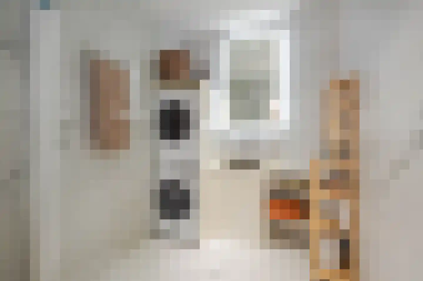 Thomsonlaan 208 Den Haag thumbnail 69