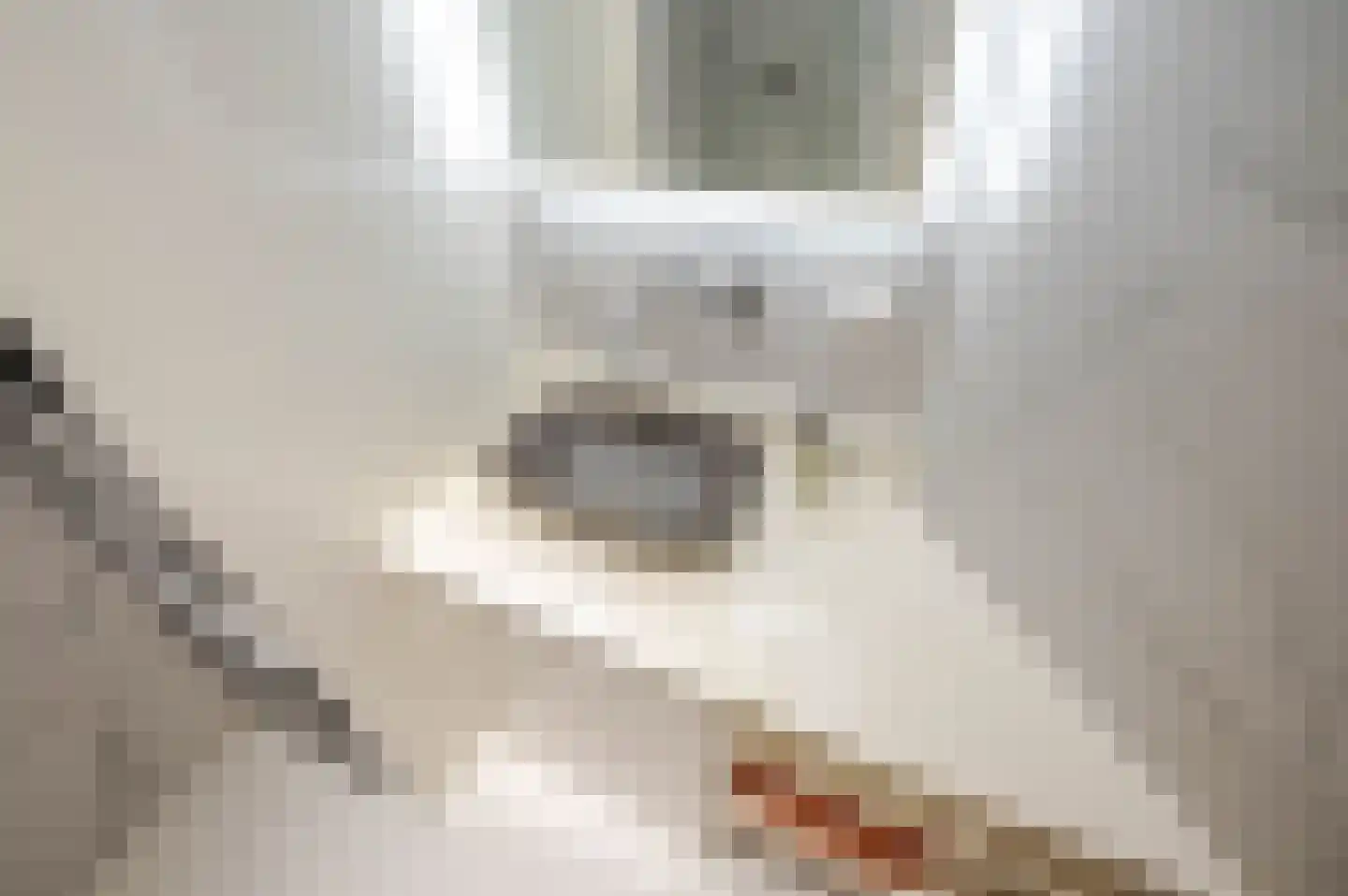 Thomsonlaan 208 Den Haag thumbnail 70