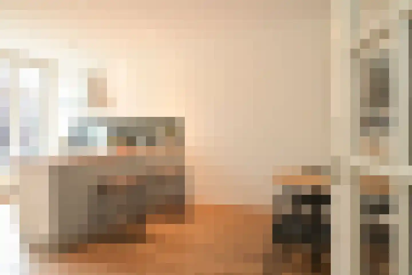 Thomsonlaan 210 Den Haag thumbnail 16
