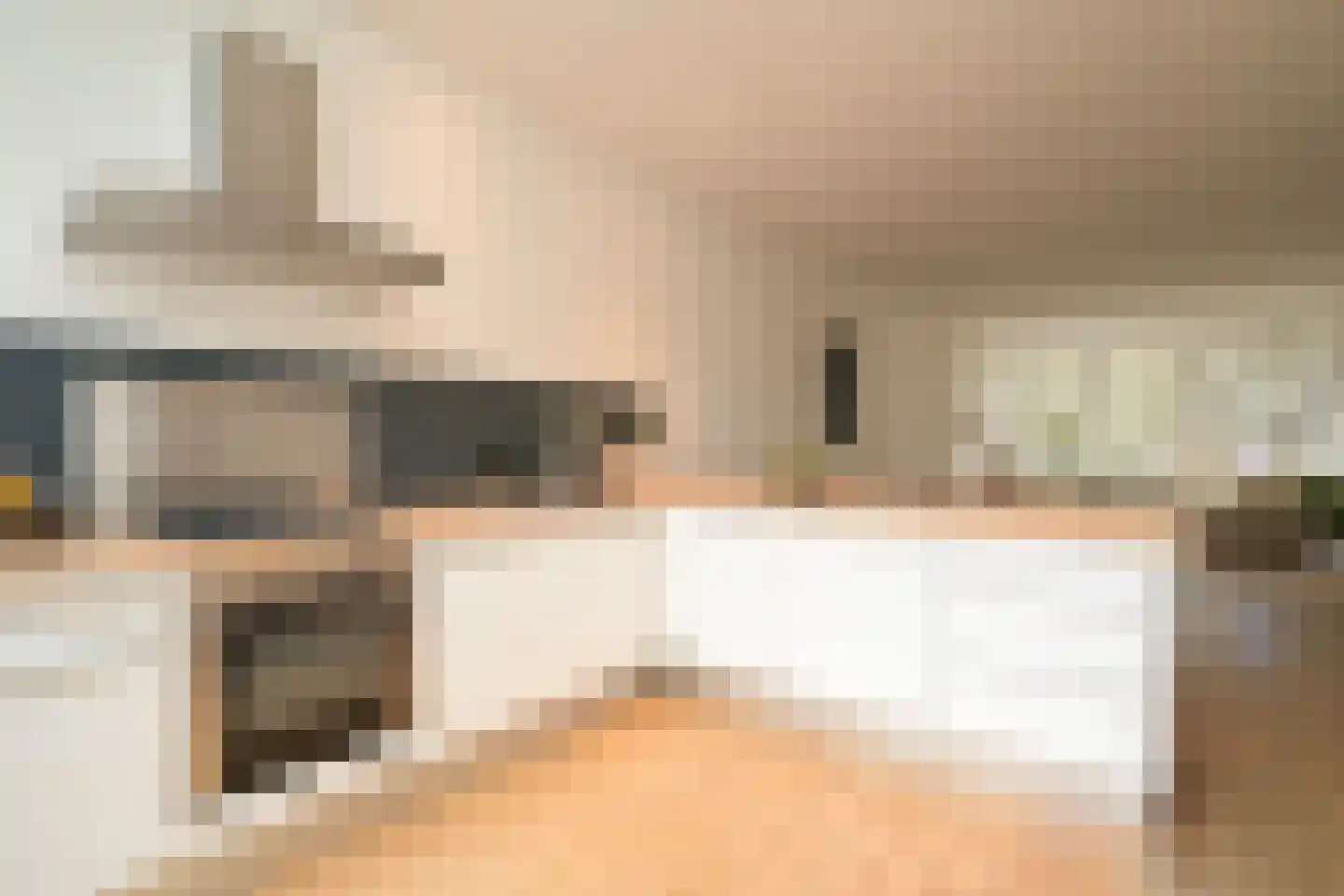 Thomsonlaan 210 Den Haag thumbnail 20