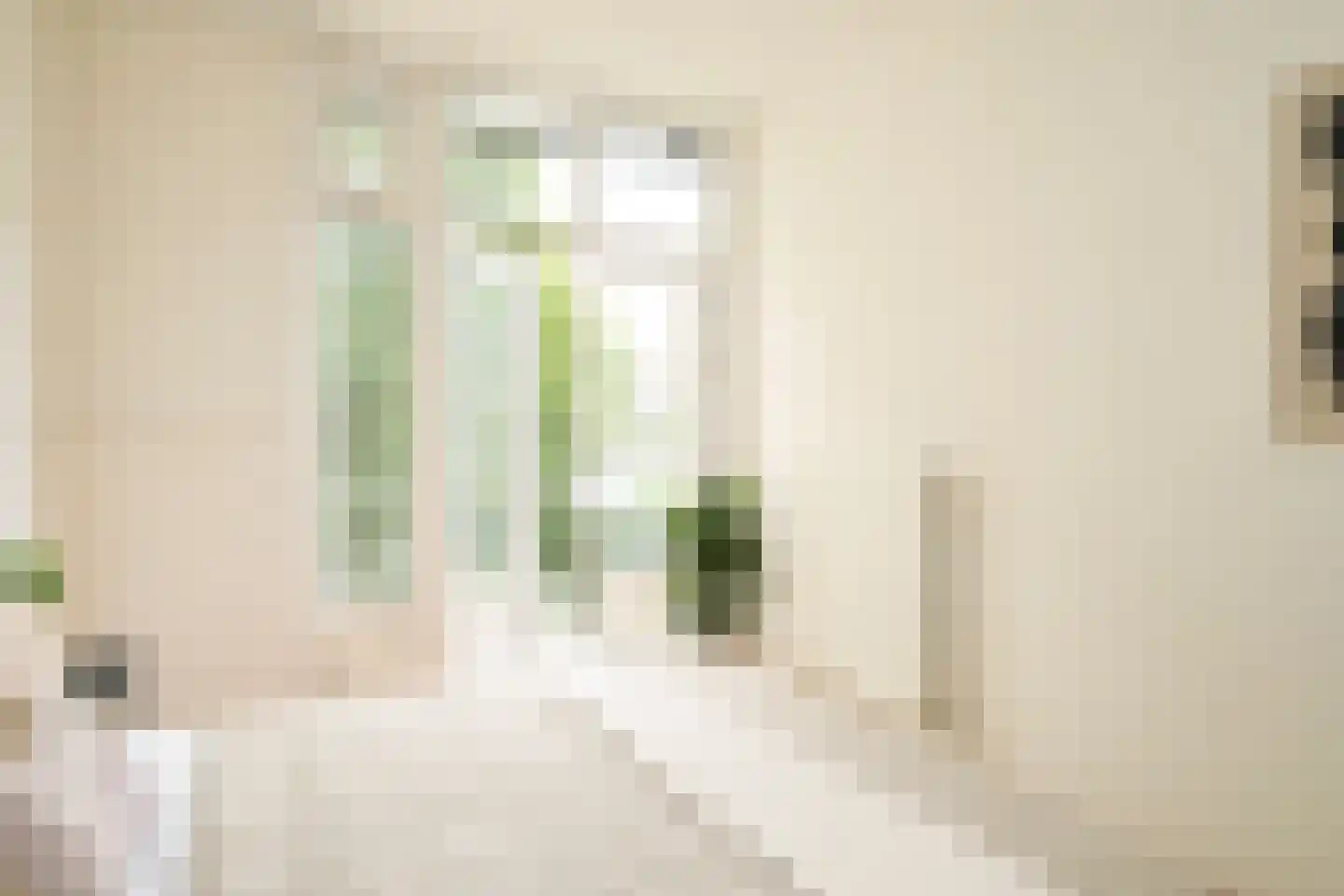 Thomsonlaan 210 Den Haag thumbnail 26