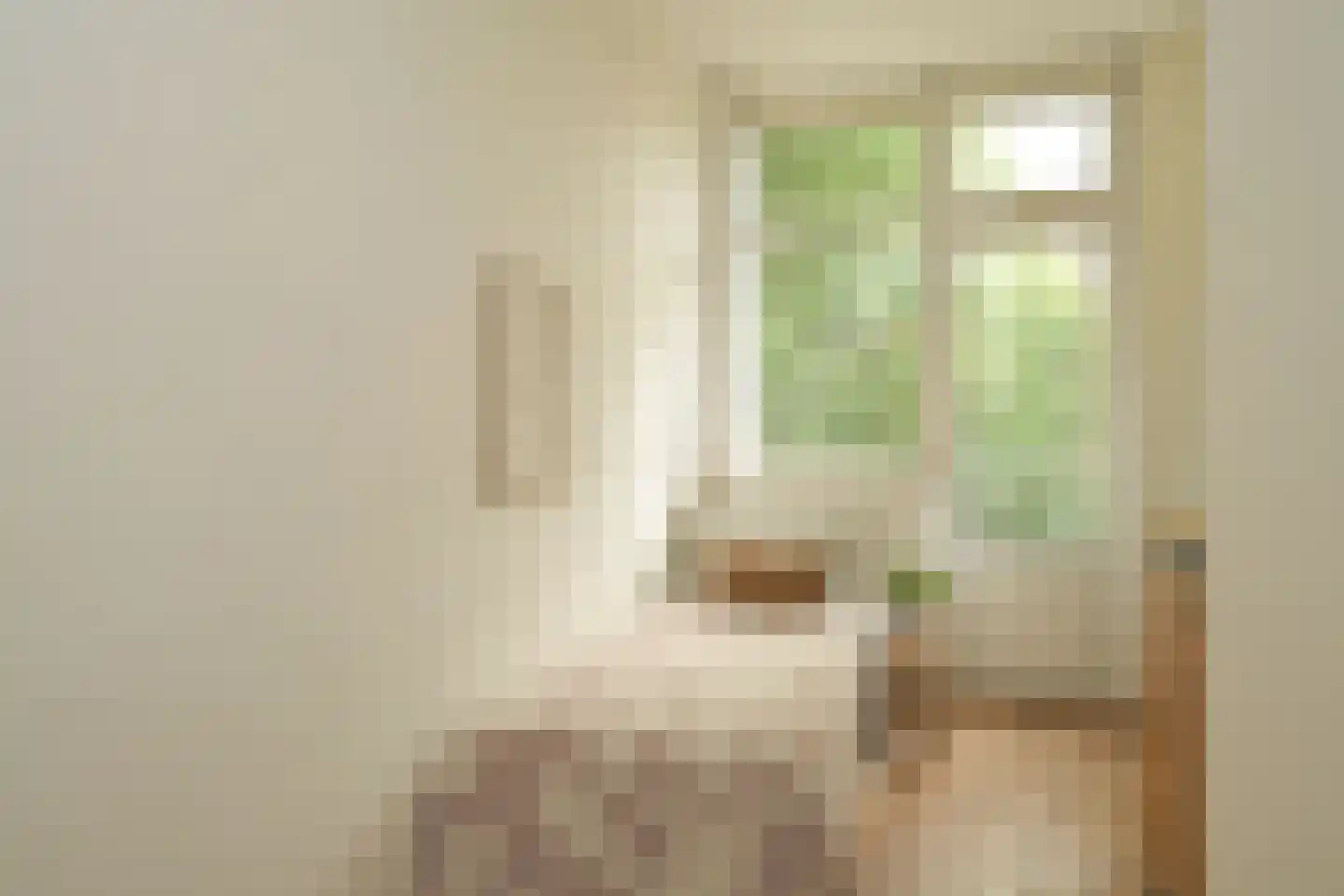 Thomsonlaan 210 Den Haag thumbnail 32