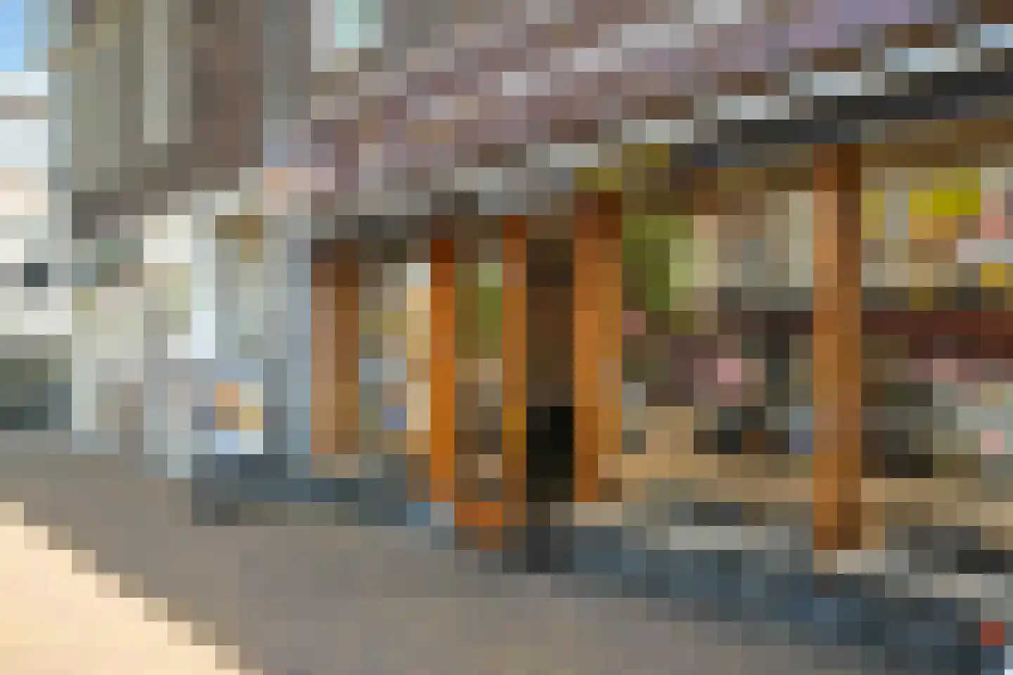Thomsonlaan 210 Den Haag thumbnail 45
