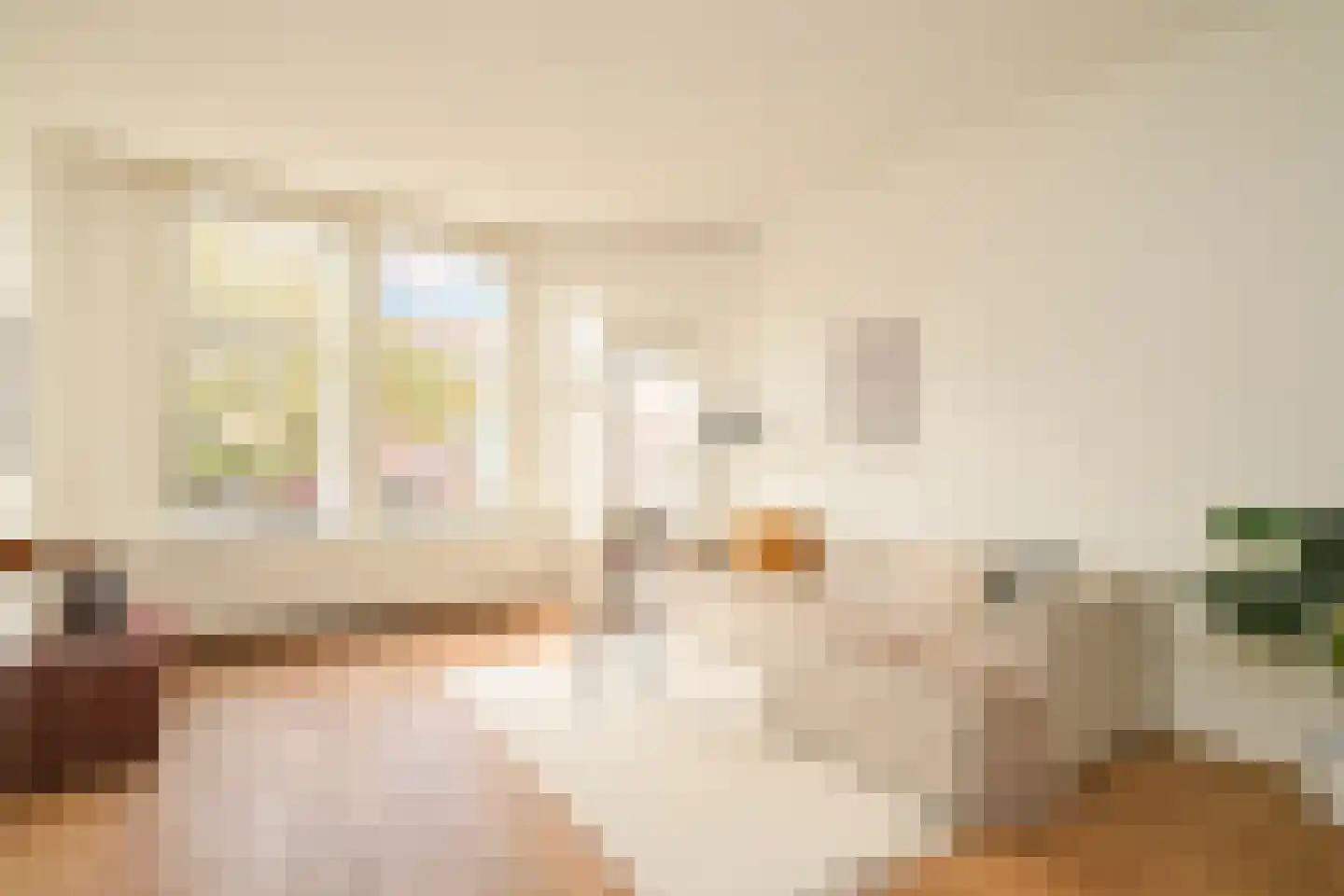 Thomsonlaan 210 Den Haag thumbnail 6