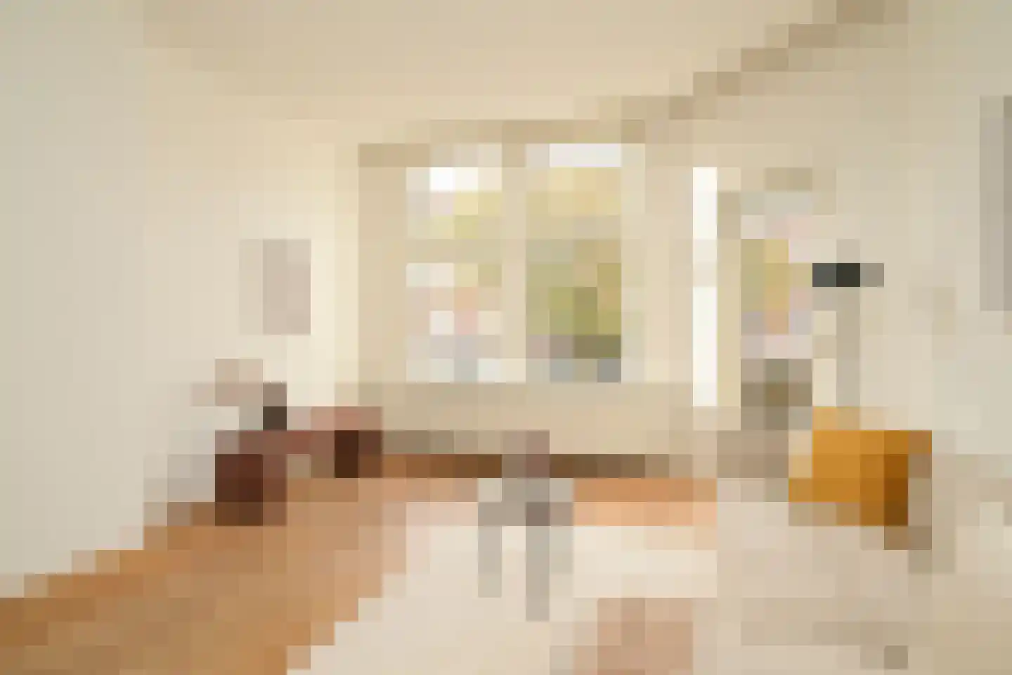 Thomsonlaan 210 Den Haag thumbnail 7