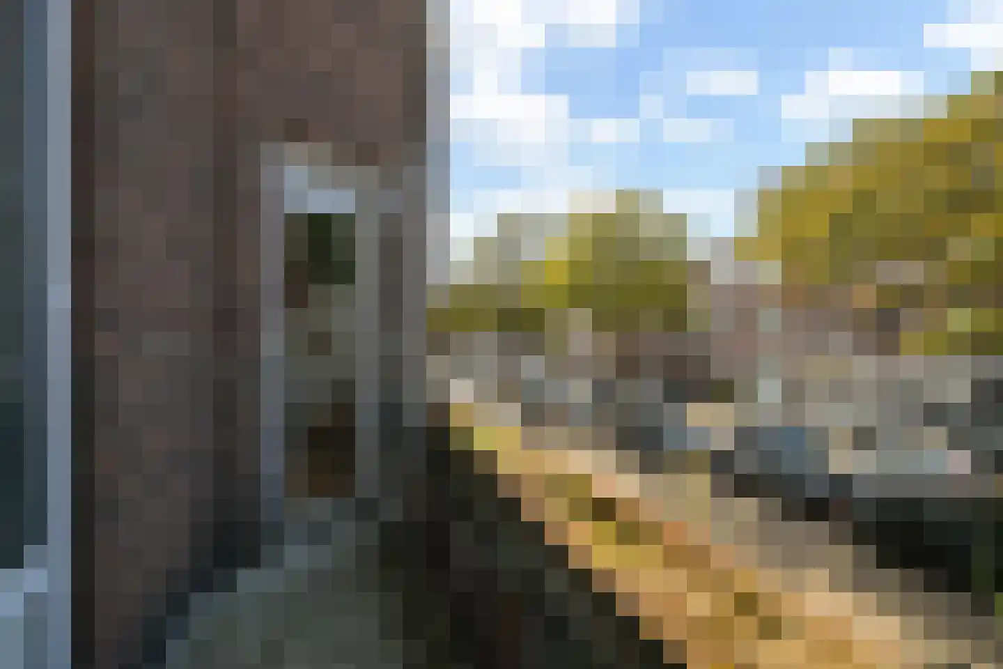 Thomsonlaan 210 Den Haag thumbnail 9
