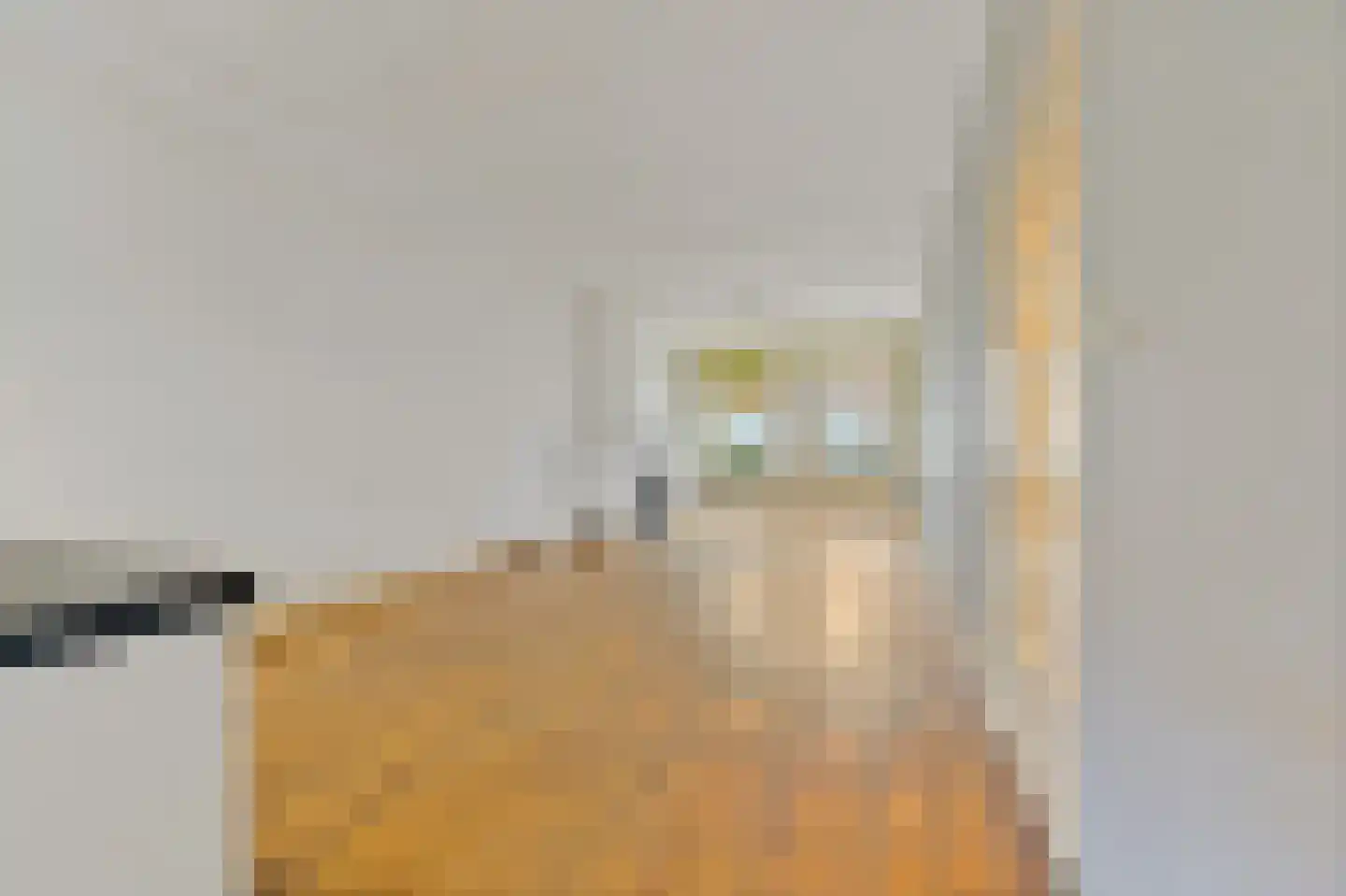 Thomsonlaan 235 Den Haag thumbnail 11