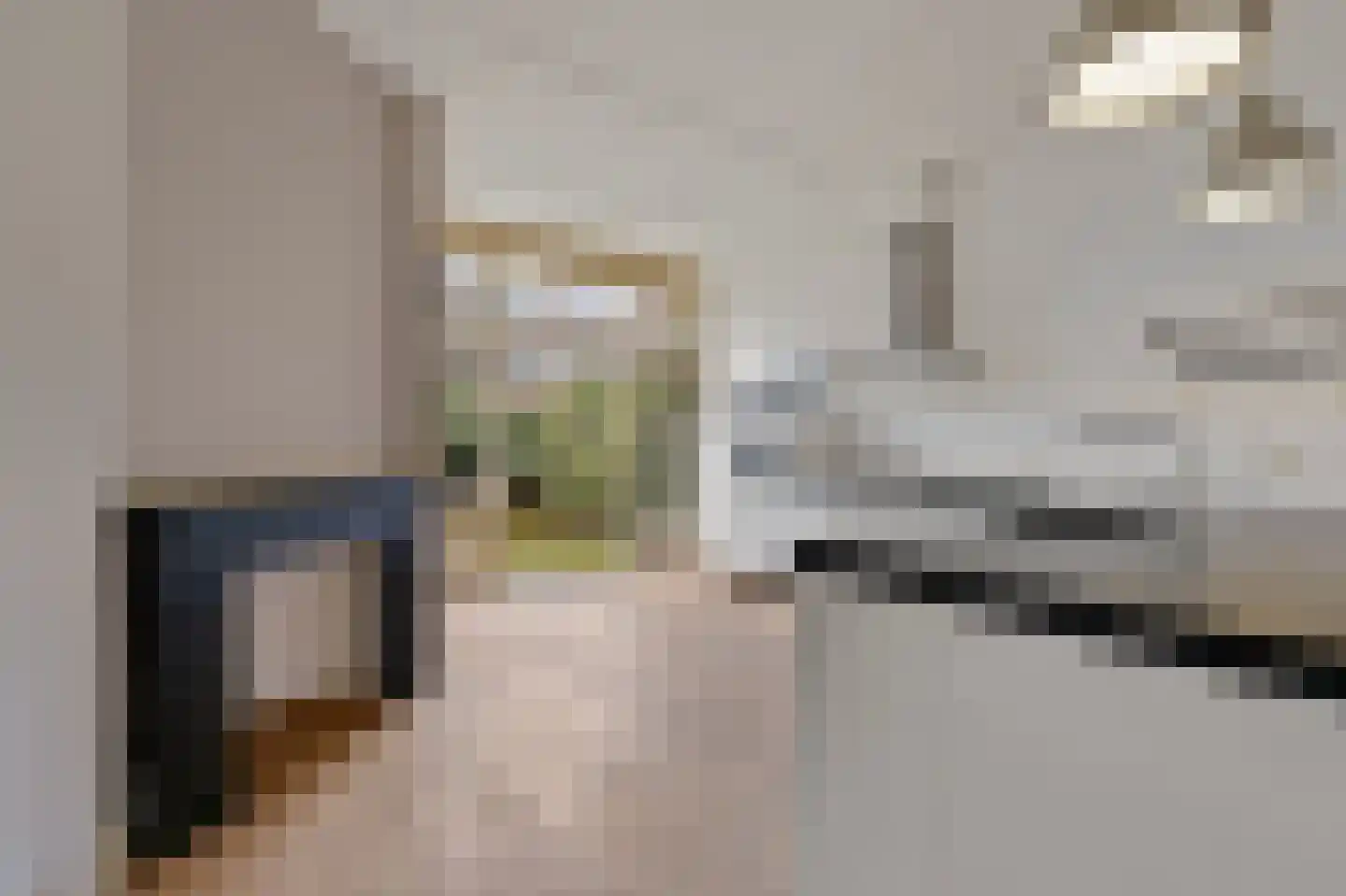 Thomsonlaan 235 Den Haag thumbnail 12