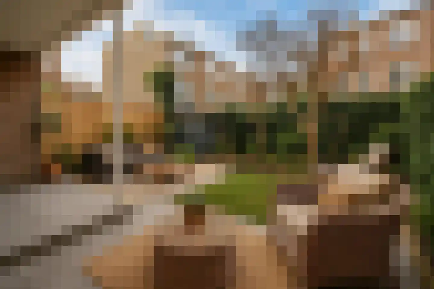 Thomsonlaan 235 Den Haag thumbnail 20