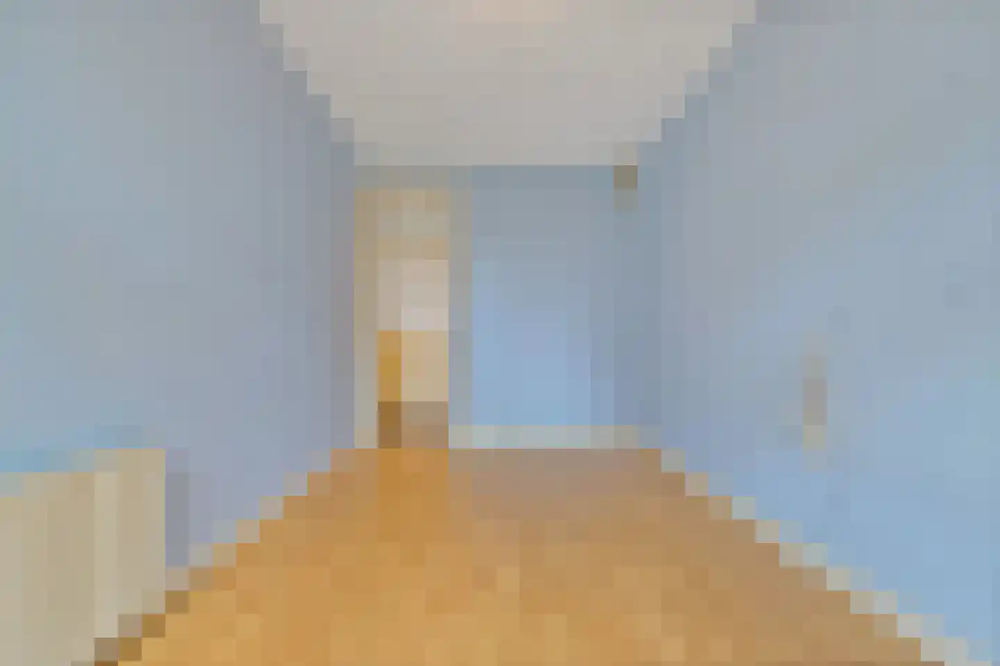 Thomsonlaan 235 Den Haag thumbnail 29