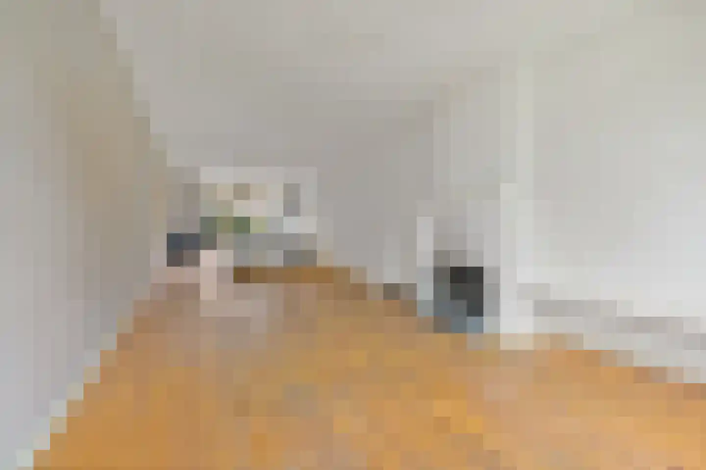 Thomsonlaan 235 Den Haag thumbnail 7
