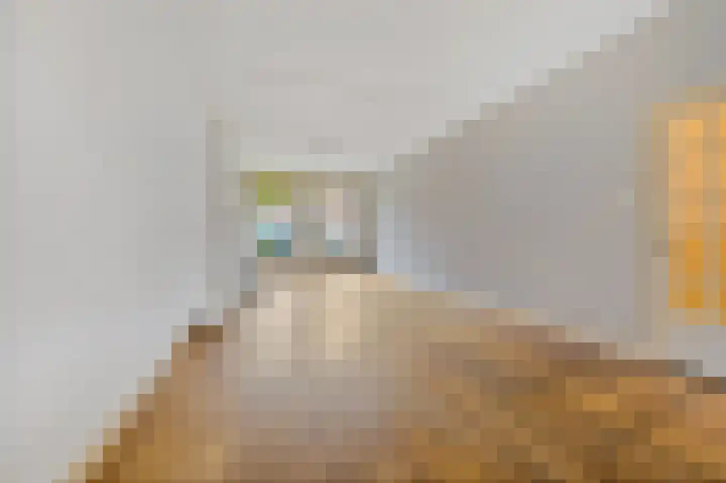 Thomsonlaan 235 Den Haag thumbnail 8