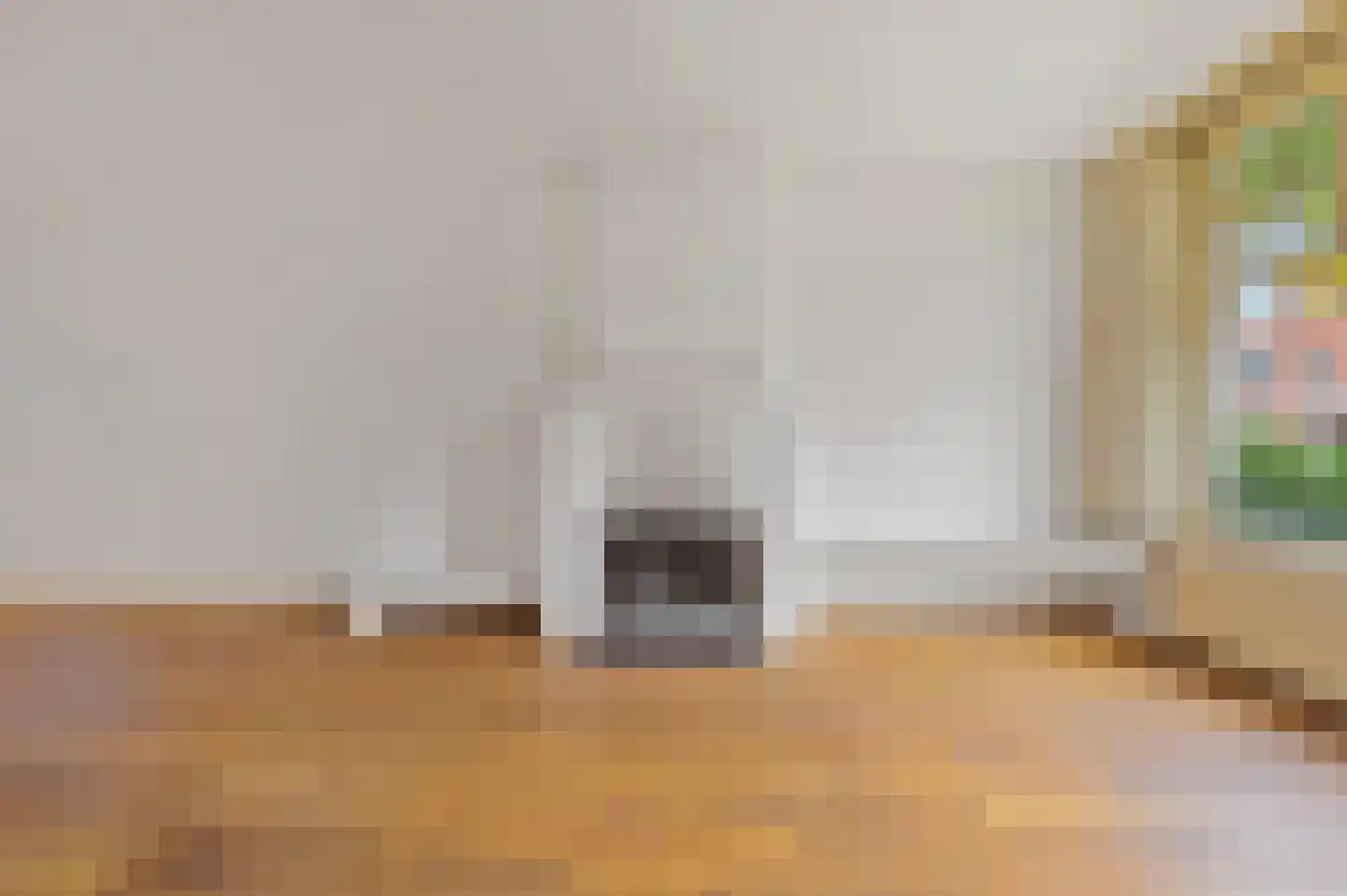 Thomsonlaan 235 Den Haag thumbnail 9