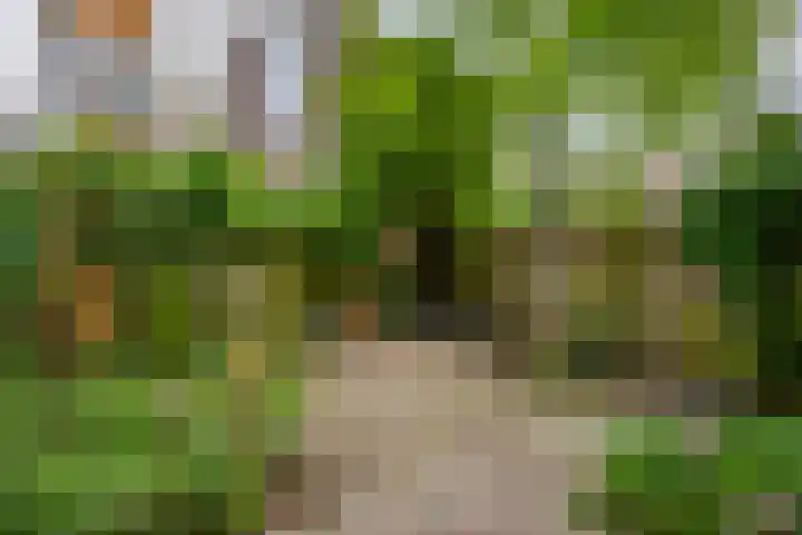 Thomsonlaan 33 Den Haag thumbnail 17
