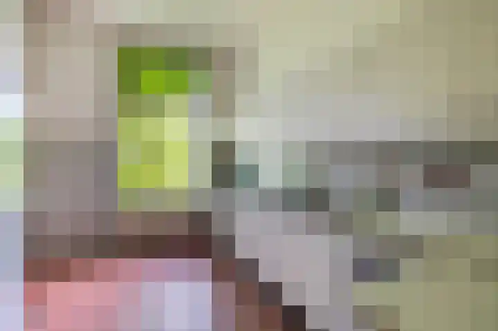 Thomsonlaan 33 Den Haag thumbnail 22