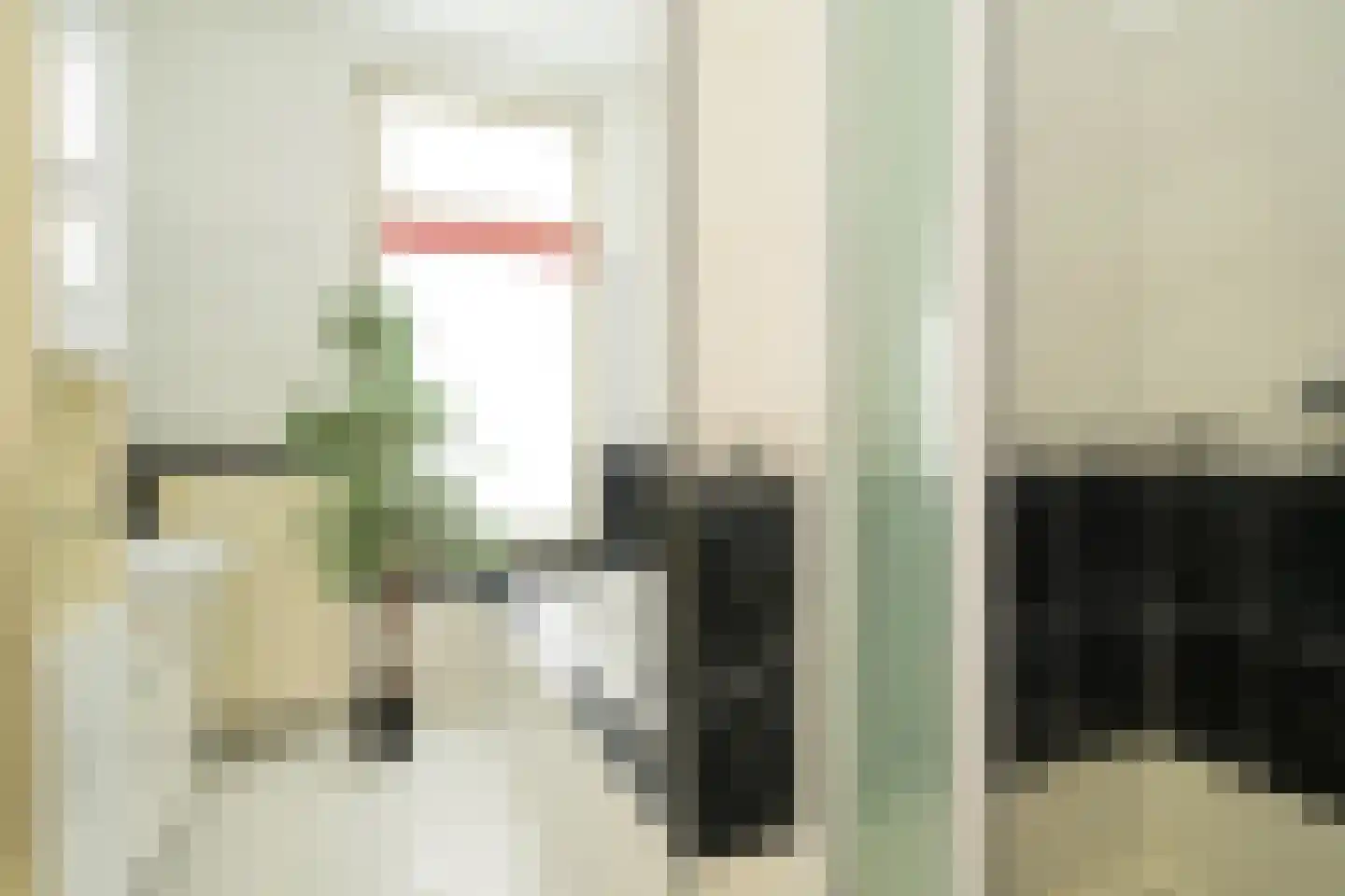 Thomsonlaan 35 Den Haag thumbnail 19