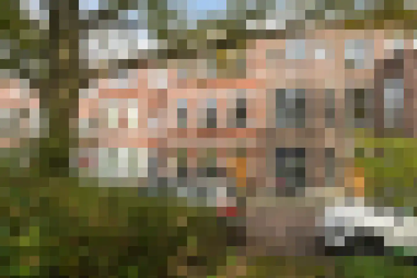 Thomsonlaan 35 Den Haag thumbnail 29
